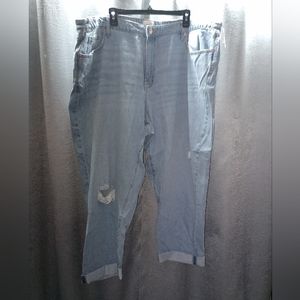New Light Wash Plus Size Jeans